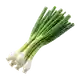 Cébette