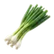 Cébette
