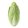 Chicorée Pain de Sucre