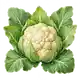 Chou-fleur
