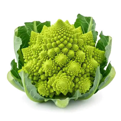 Splendide et très graphique pomme de chou romanesco à la tendre teinte vert jaunâtre, dont l'organisation forme des pointes pyramidales en spirales géométriques fascinantes