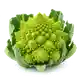 Chou Romanesco