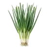 Ciboule