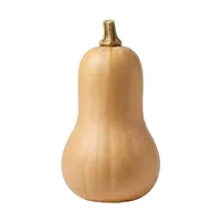 Butternut (Doubeurre)