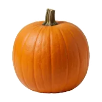 Jack O'Lantern