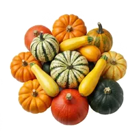 Courge