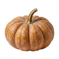 Musquée de Provence