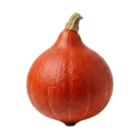 Potimarron