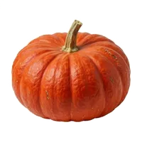 Rouge Vif d'Étampes