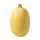 Courge Spaghetti