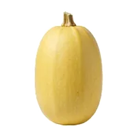 Courge Spaghetti