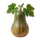 Sucrine du Berry
