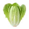 Endive (Chicon)