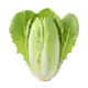 Endive (Chicon)