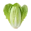 Endive (Chicon)