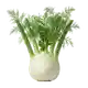 Fenouil