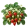 Ostara