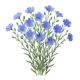 Lin Bleu