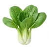 Pak Choï