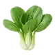 Pak Choï