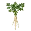 Panais