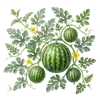 Pastèque