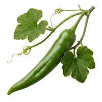 Piment d'Anaheim