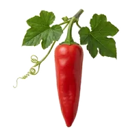 Piment d'Espelette