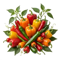 Piment et Poivron