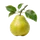 Doyenné du Comice