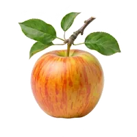 Braeburn