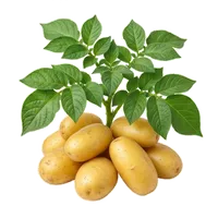 Agria