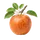 Elstar