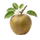 Reinette du Canada