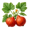 Potimarron