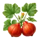 Potimarron