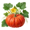 Potiron Rouge Vif d'Étampes