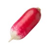 Radis Flamboyant