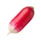 Radis Flamboyant