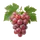 Red Globe