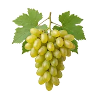 Thompson Seedless