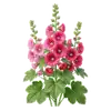 Rose Trémière