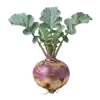 Rutabaga