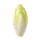 Endive (Chicon)