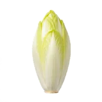 Endive (Chicon)