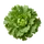 Escarole