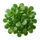 Mâche
