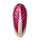 Trévise (Radicchio)