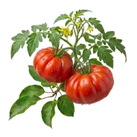 Beefsteak